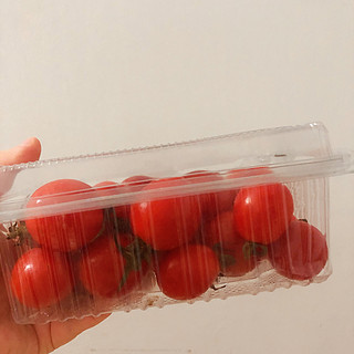 是不是有一颗小小的番茄深得你的心～