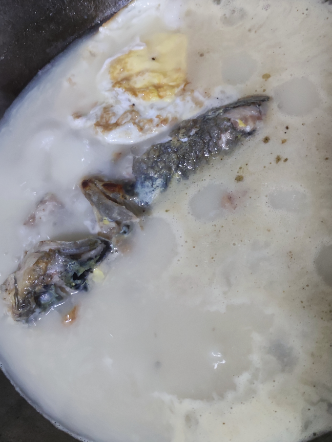 微山湖鱼类