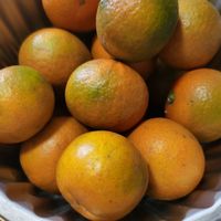 京东自营小酸橘子