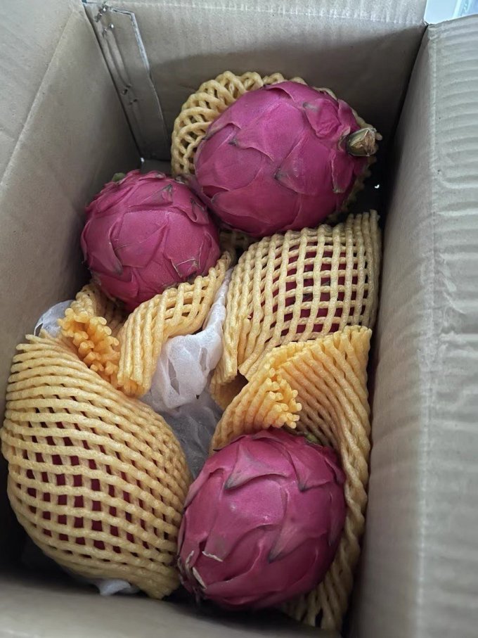 火龙果