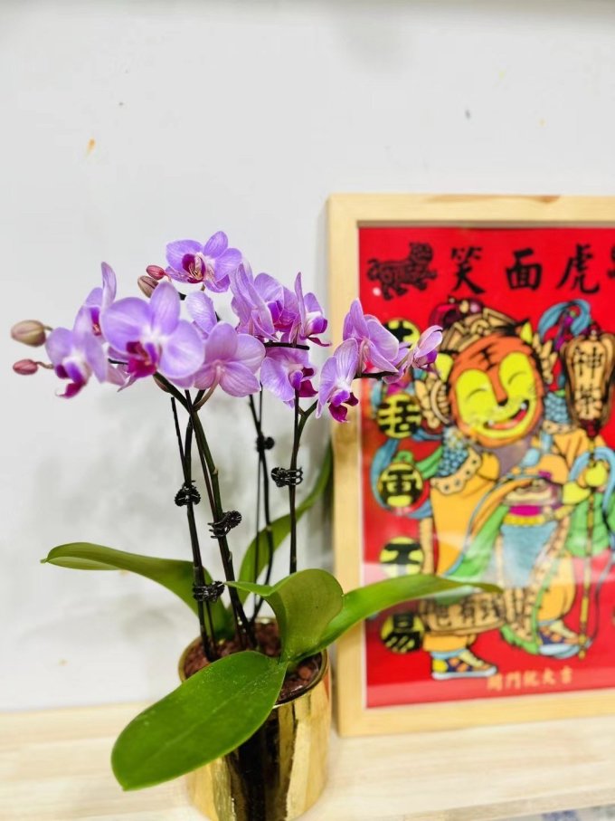 雅炫鲜花