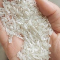 泰金香茉莉香米 超值优质大米