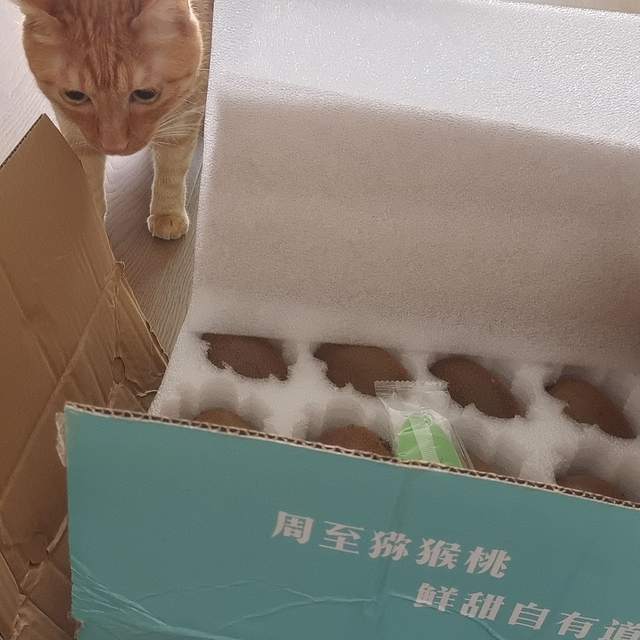 我到底该怎么形容这个猕猴桃好吃！！