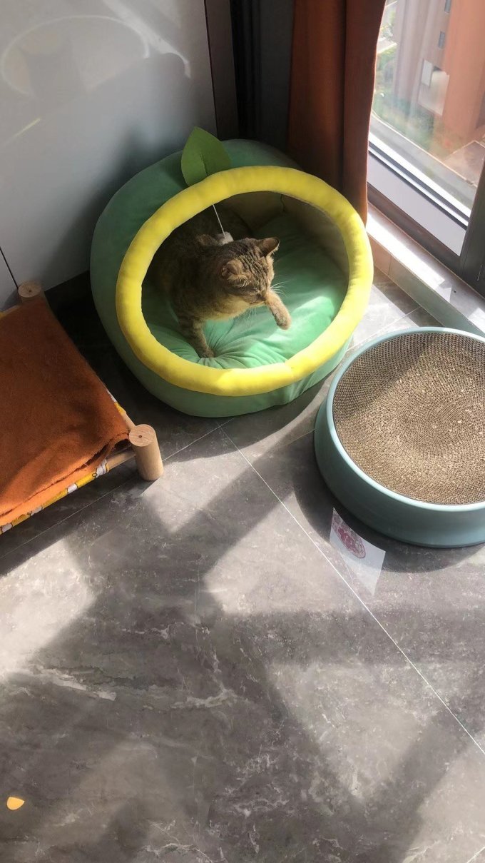 御宠坊猫狗窝