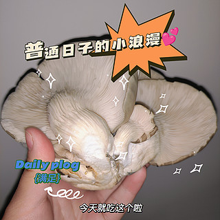 听说你们都不吃菇类？