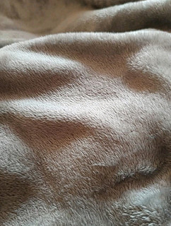 今天冬天，在毛毯的怀里一起冬眠