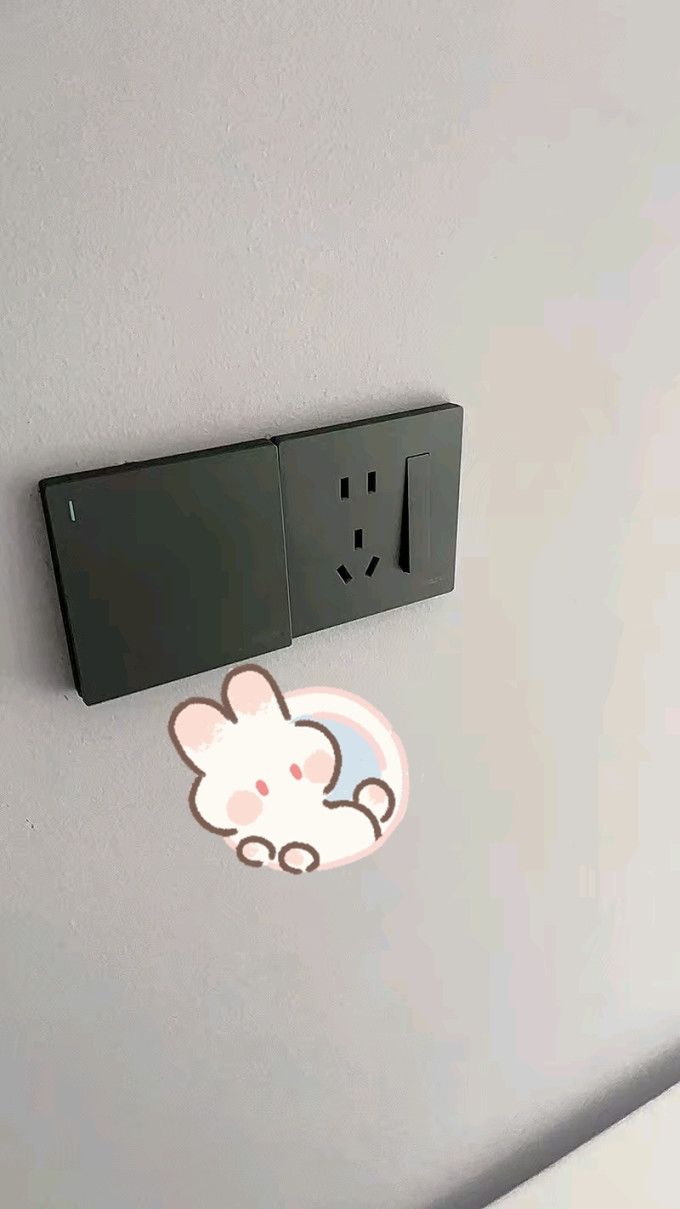 德力西插座