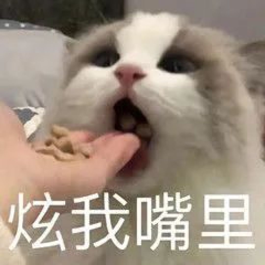 宠物医院常见宠粮,到底靠不靠谱?实测营养值超标?