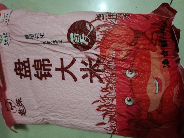 没有买过超过2.5一斤的大米