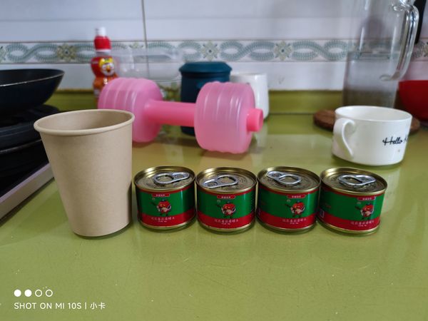 双十一成果之冠农番茄酱
