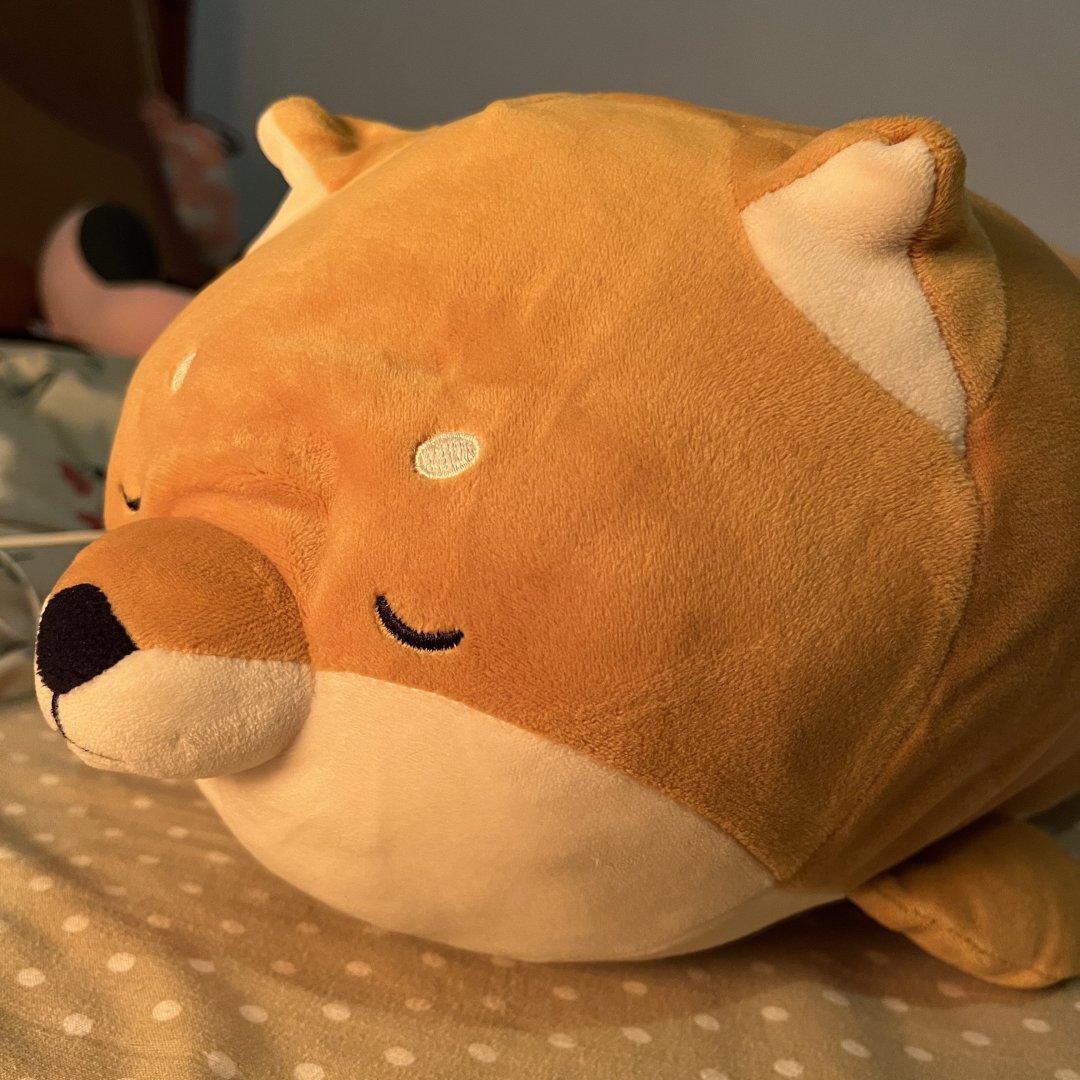 名创优品的小柴犬真的让人爱不释手呢