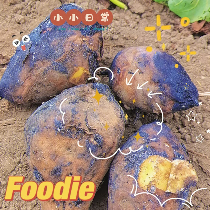 丑禾蔬菜