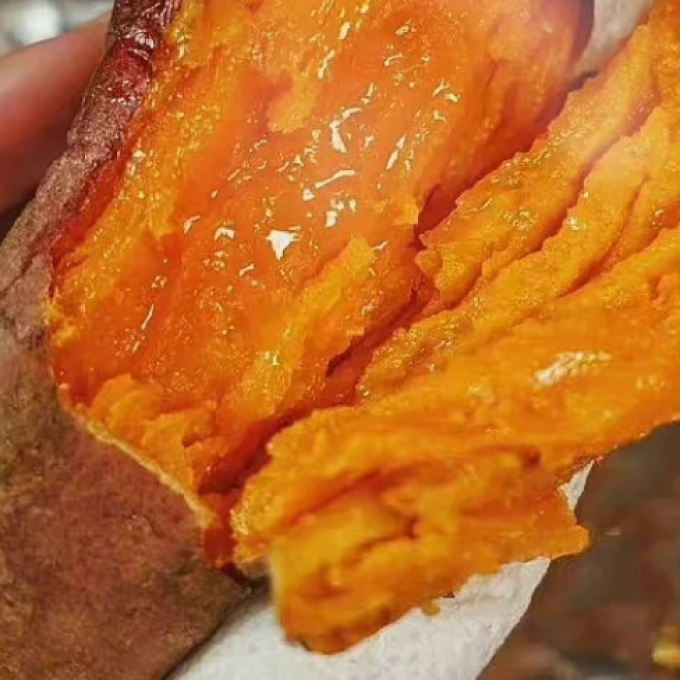 丑禾蔬菜