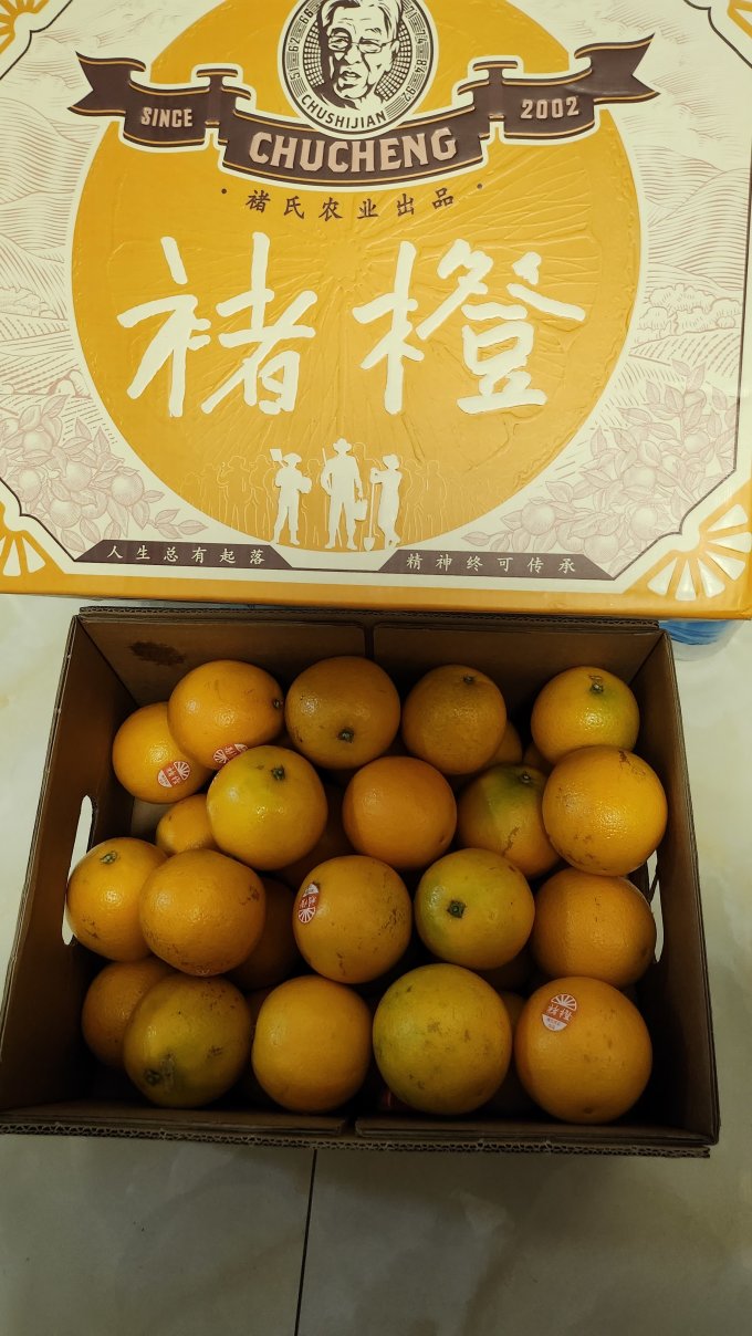 褚橙橙子