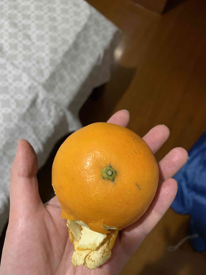 橘/桔