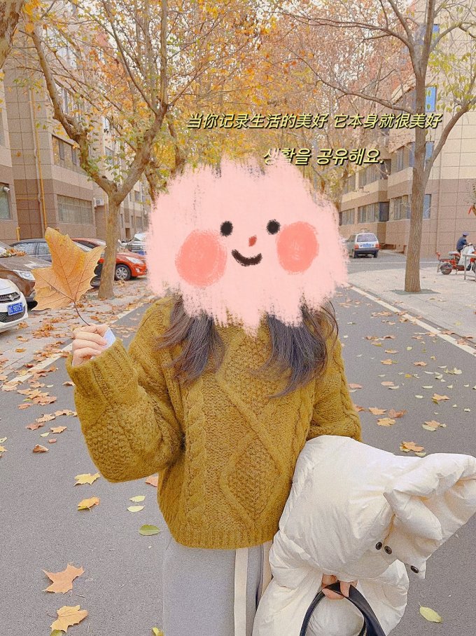 女士毛衣