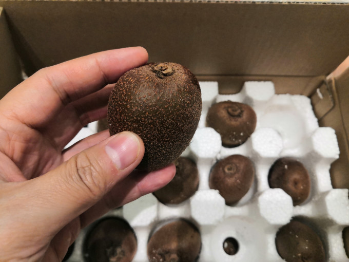 肴池新鲜水果