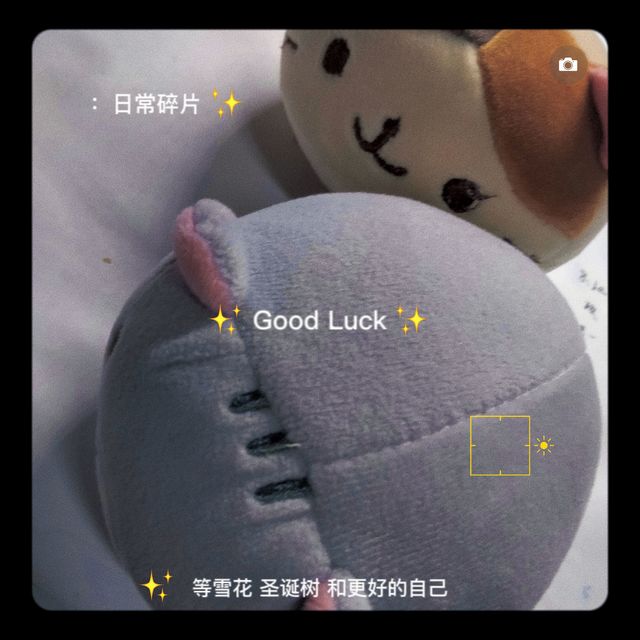 软乎乎的猫猫头，可爱又解压