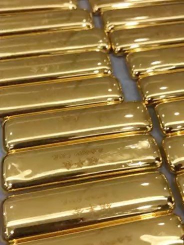 小金鱼哪里买靠谱