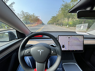 《玫瑰之约》升级—Tesla Model Y