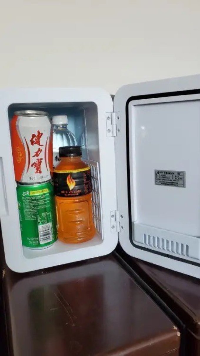 百事 车载冰箱8l美妆小冰箱车家两用迷你