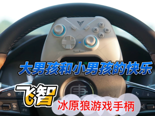 大男孩和小男孩的快乐，飞智冰原狼游戏手柄！