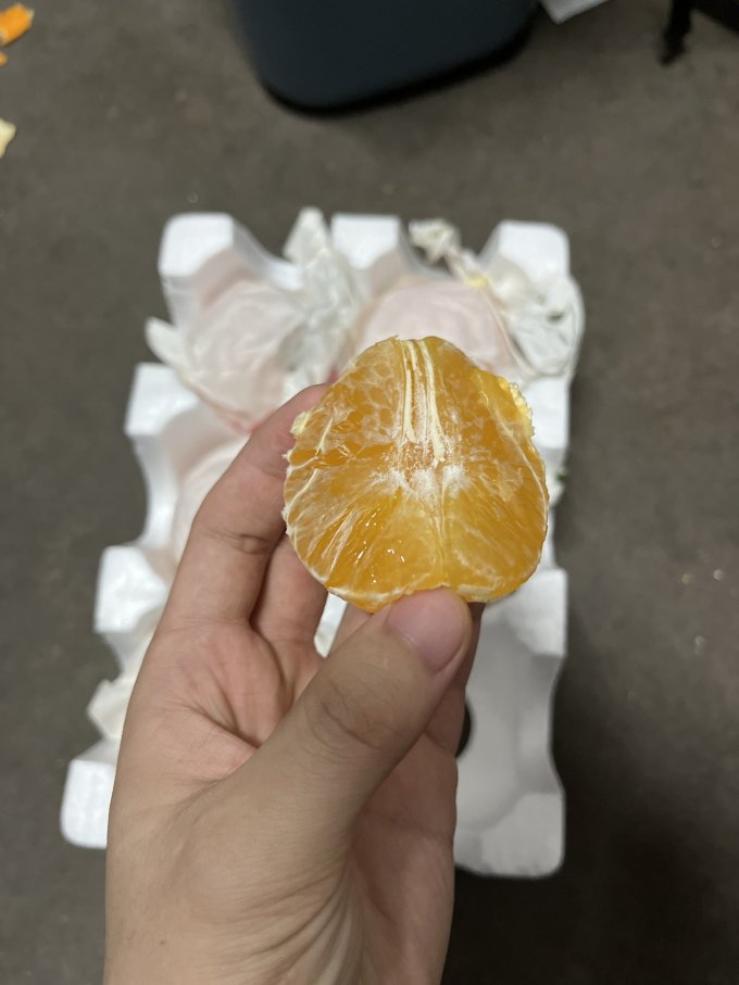 富润世橙子