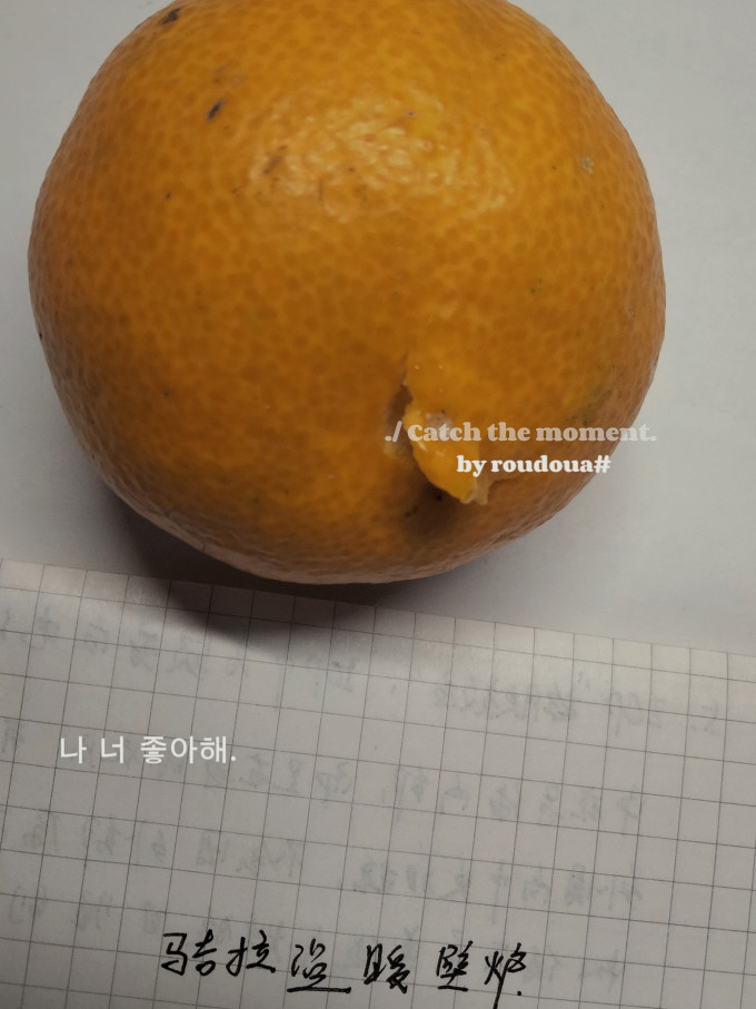 什谷丰橘/桔