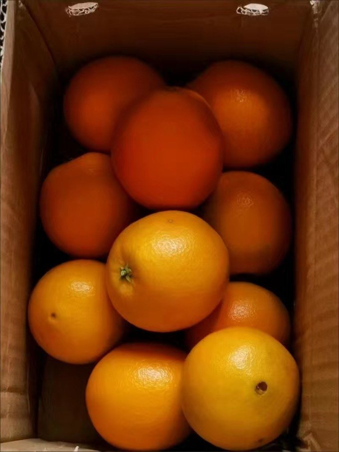 橙子