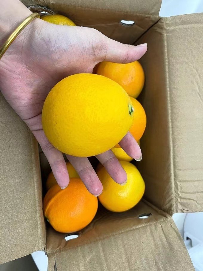 橙子