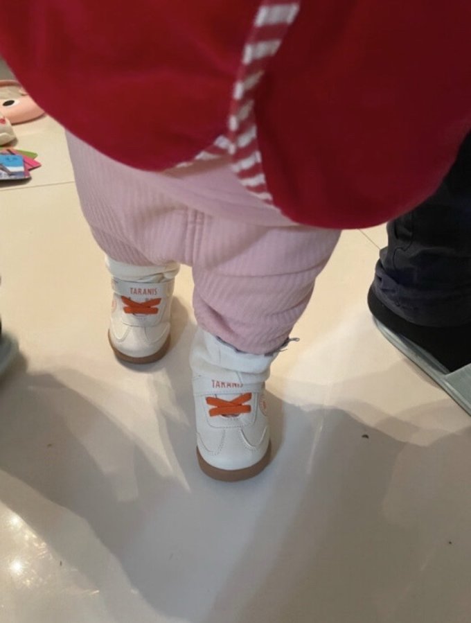 泰兰尼斯童鞋