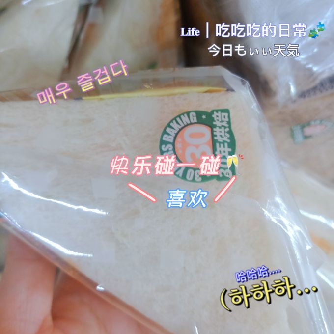 哈兰德面包