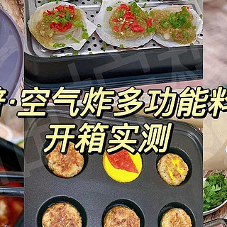 【开箱实测】可空气炸的多功能料理锅推荐，料理锅值得买吗？哪个牌子好？料理锅是不是智商税？值得买吗