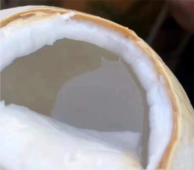 海姑娘新鲜水果