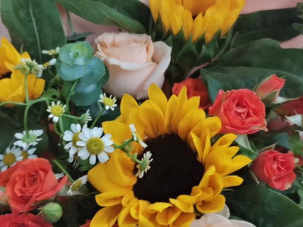 双十一之鲜花💐