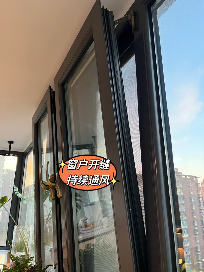 净化除味
