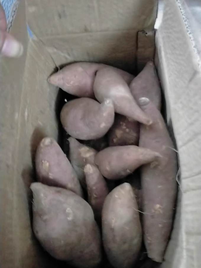 蔬菜