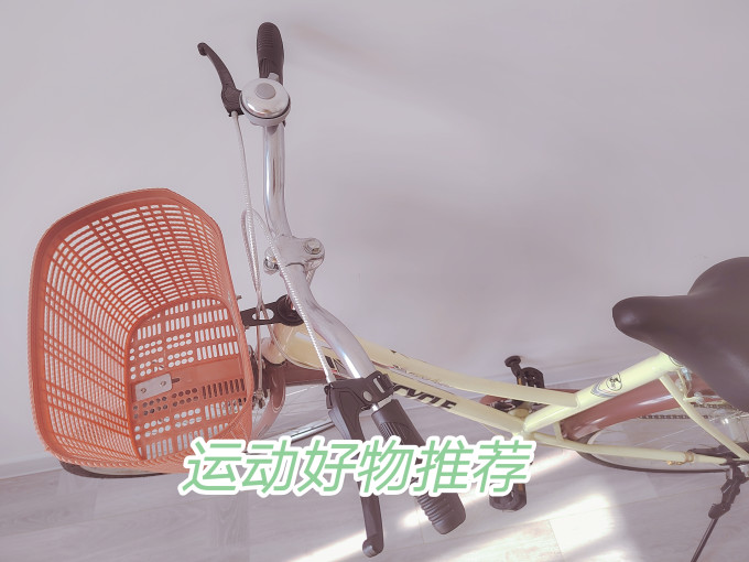 普通自行车