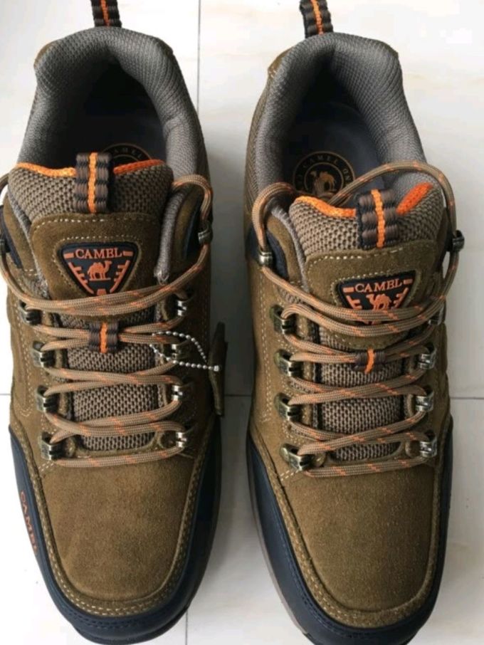 骆驼登山鞋