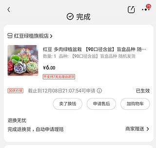 多肉盲盒品种随机发购后晒