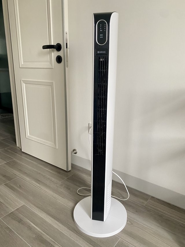 小户型必备!不占地实用高颜值电风扇!
