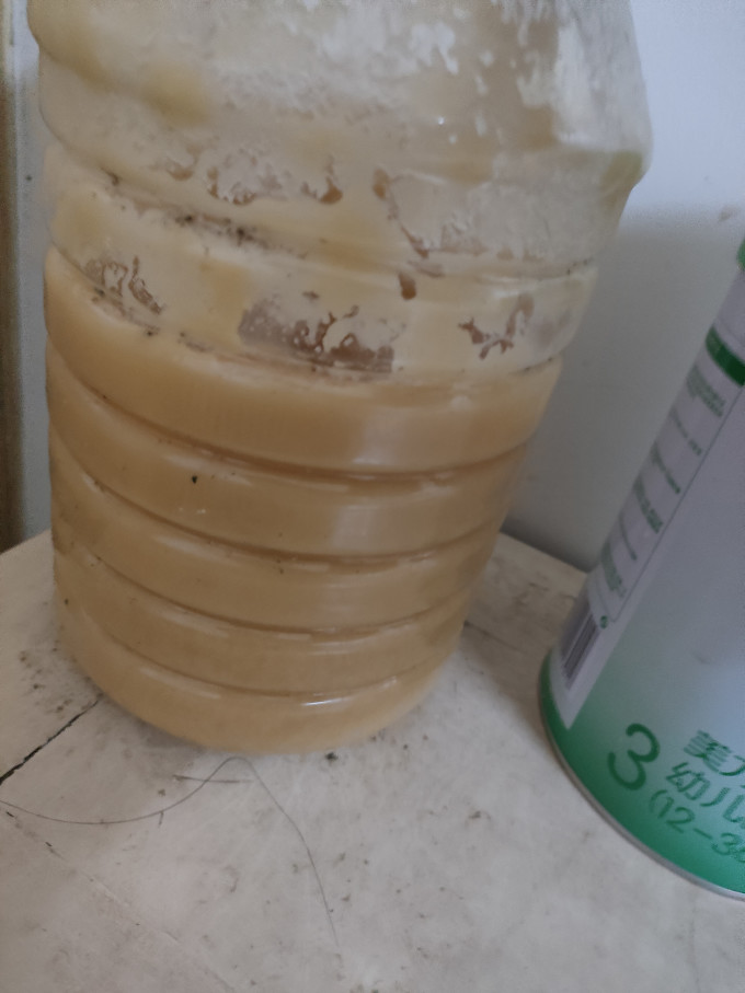 惠鲜萌蜂蜜