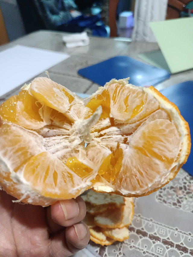 美味价廉果冻橙