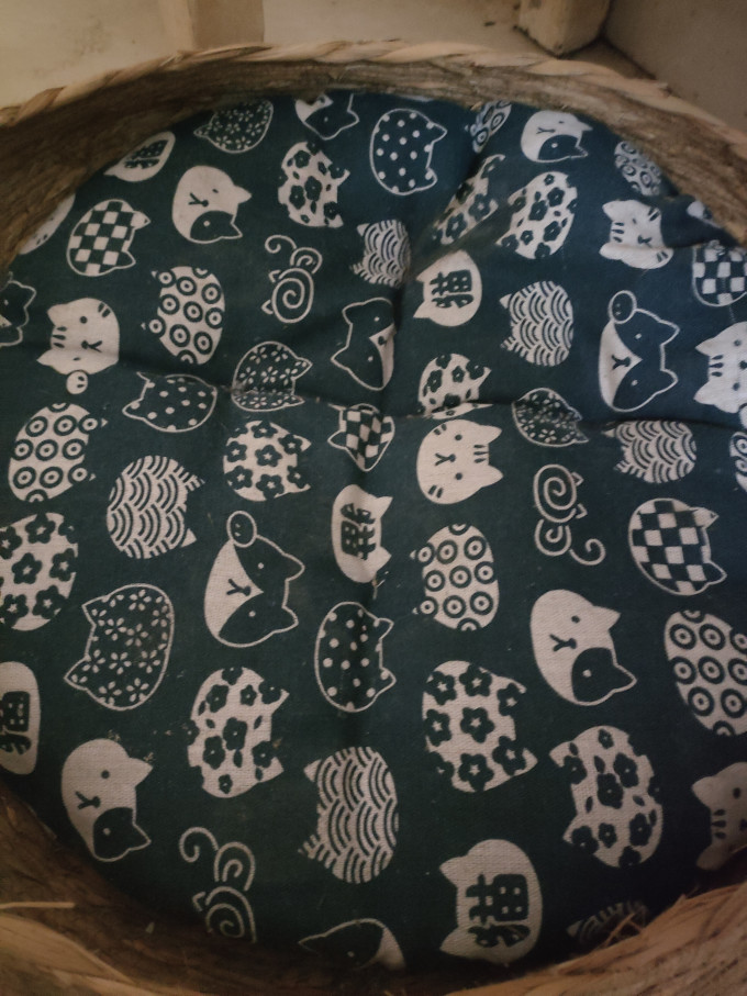 猫狗窝