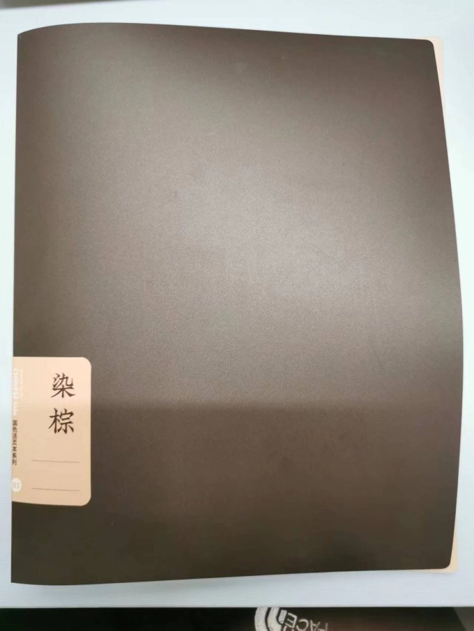 苏铁时光纸质笔记本