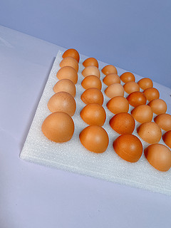 正大鸡蛋是真的大啊，买11期送11期真合适