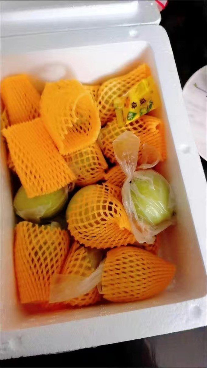 芬果时光其他水果