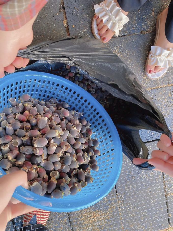 蜜饯果脯