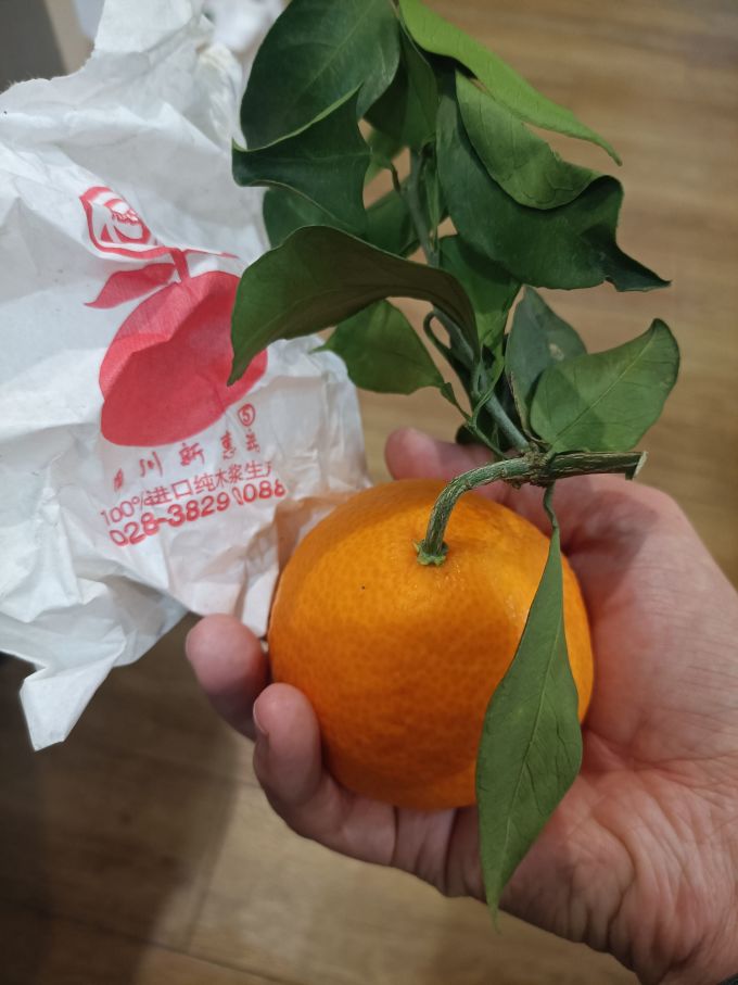 橙子