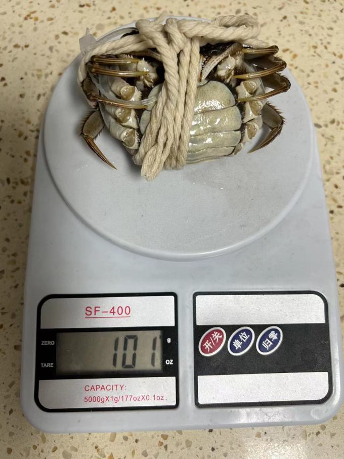 今锦上蟹类